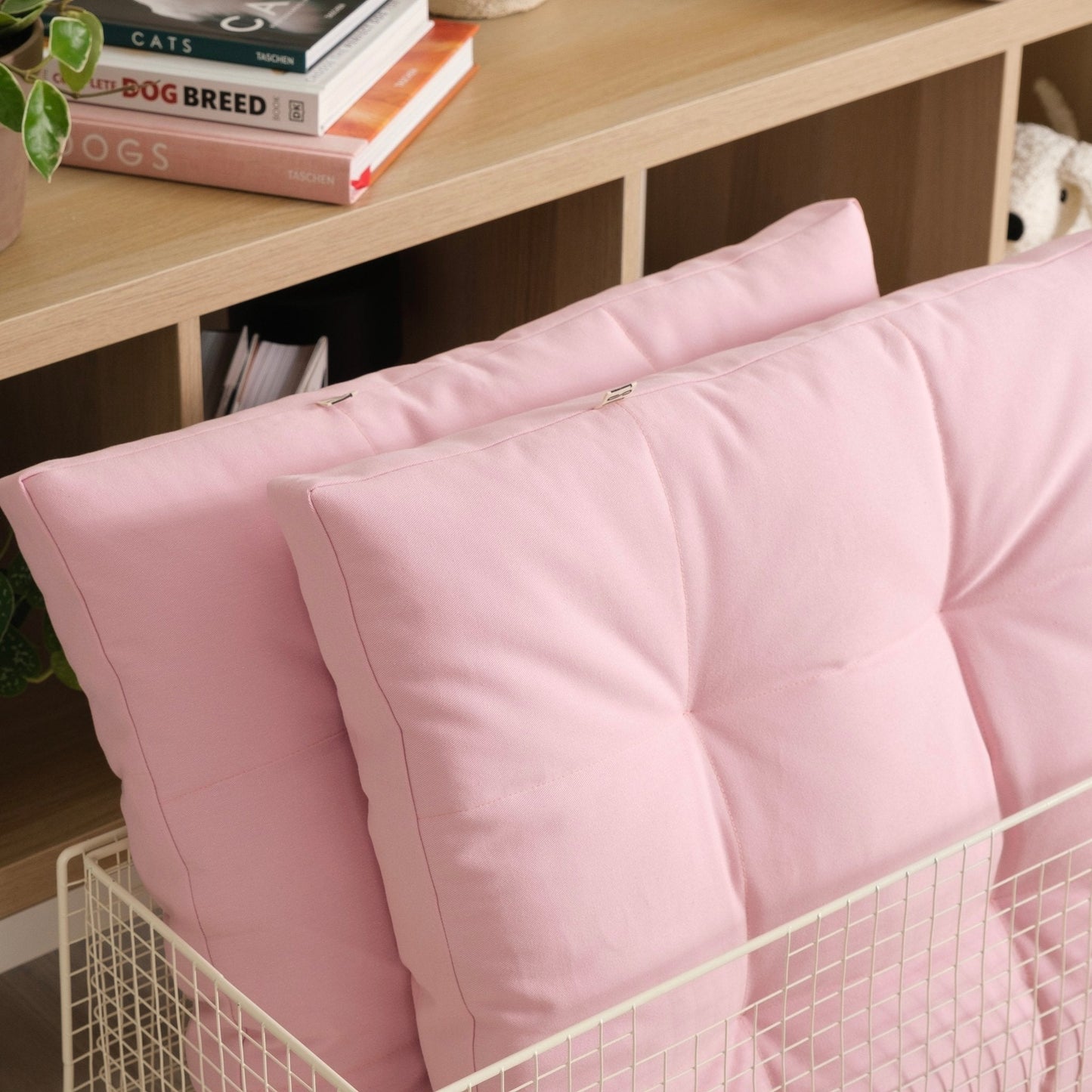 Cushion color upgrade