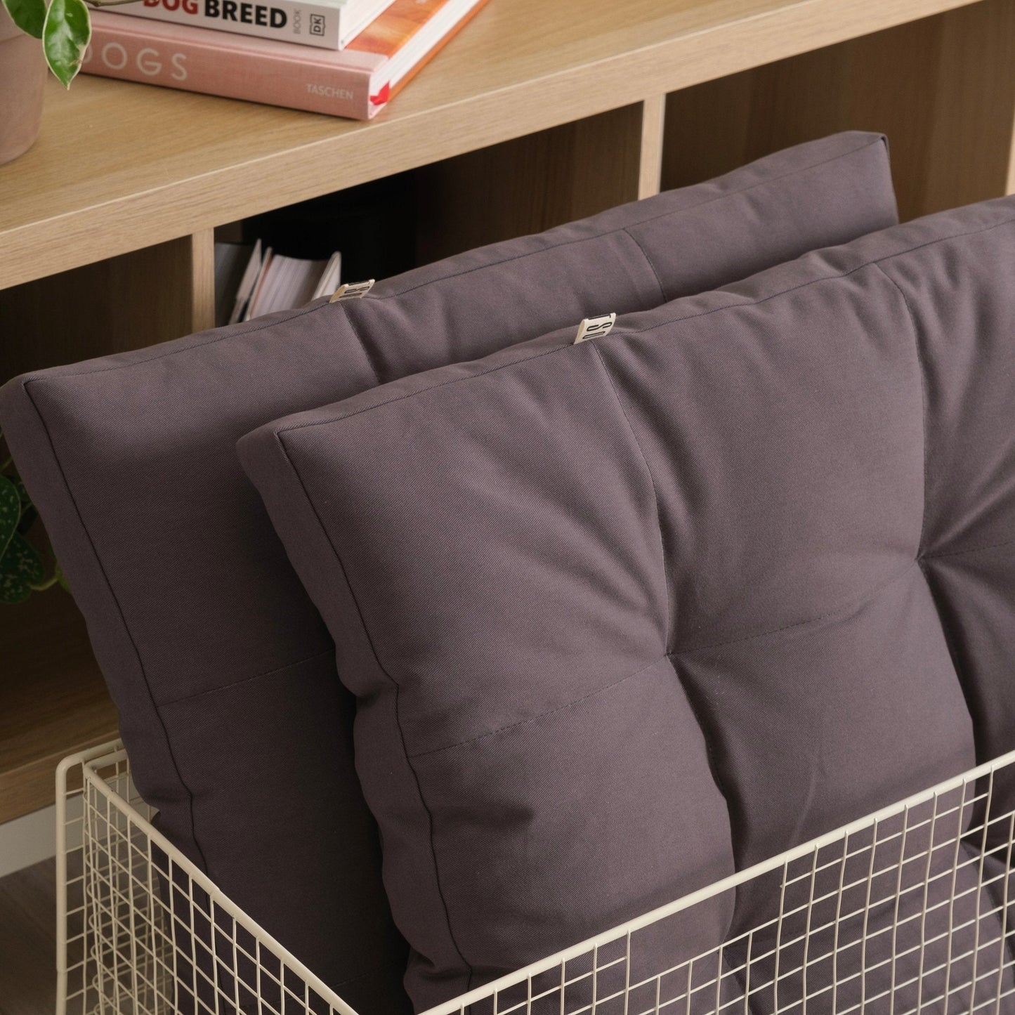 Cushion color upgrade